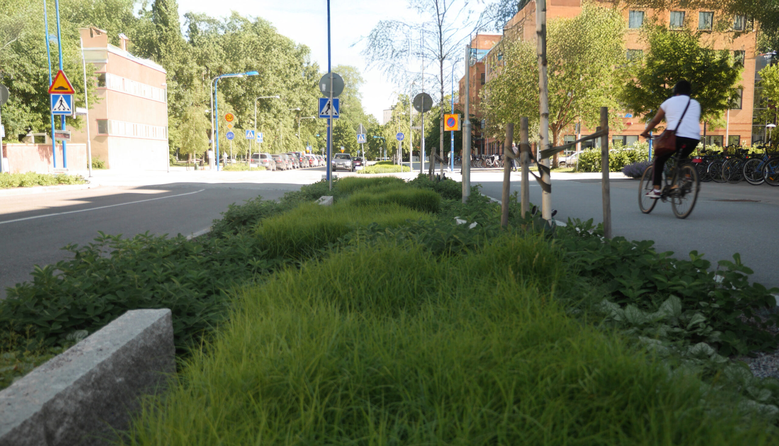 Foto: Stadsmiljö